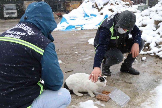Serdivan’da Ekipler 24 Saat Kar Nöbetinde