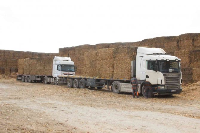 Oke’den Enerjiye Yerli Katkı