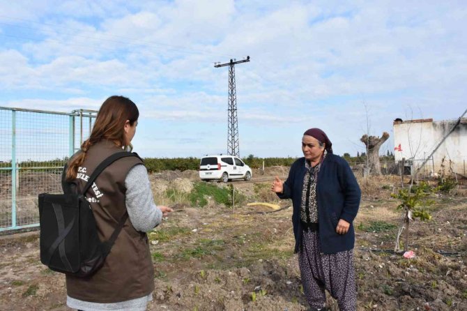 Tarsus Belediyesinin Çiftçilere Ücretsiz Dağıttığı Fideler Meyve Vermeye Başladı