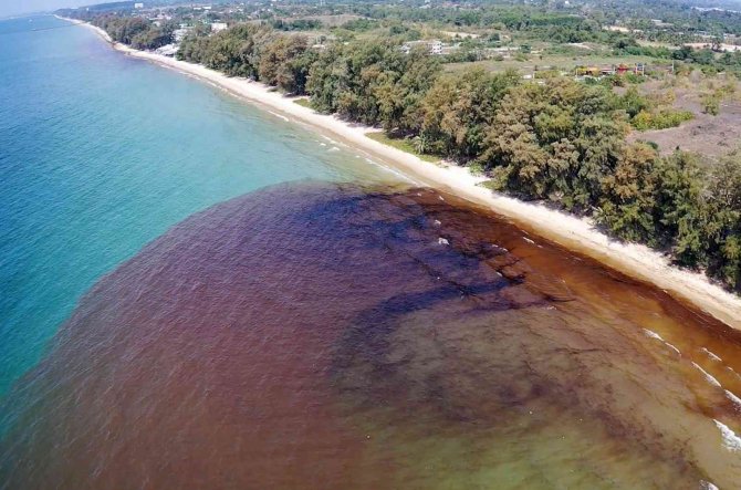 Tayland’da Petrol Sızıntısı Nedeniyle Bir Plaj Afet Bölgesi İlan Edildi