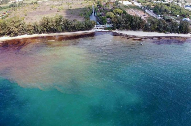 Tayland’da Petrol Sızıntısı Nedeniyle Bir Plaj Afet Bölgesi İlan Edildi