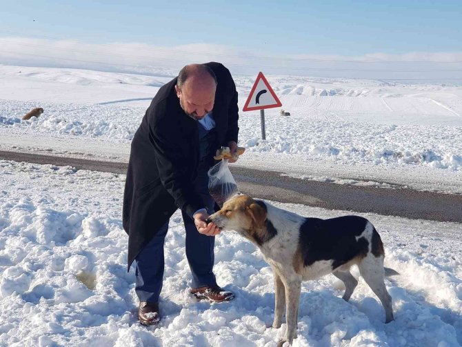 Ak Parti’den Yaban Hayatı İçin Doğaya Yem