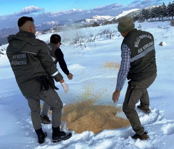 Aydın’da Yaban Hayvanları Unutulmadı