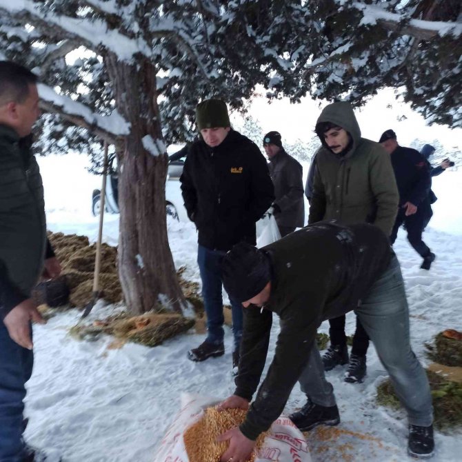 Kaymakam, Kurum Amirleri Ve Vatandaşlar Yaban Hayatına Yem Bıraktı