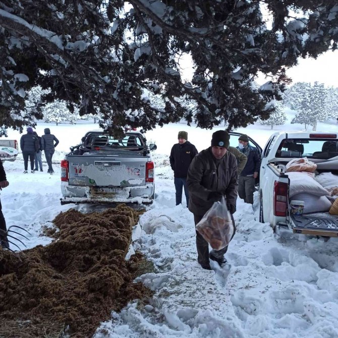Kaymakam, Kurum Amirleri Ve Vatandaşlar Yaban Hayatına Yem Bıraktı