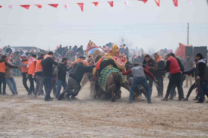 Efeler’de Develer Kıran Kırana Mücadele Etti