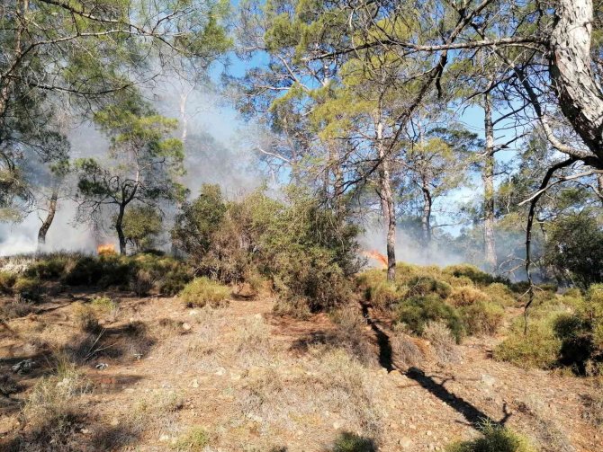 Fethiye’de Orman Yangınının Yayılmasına Jandarma Engel Oldu