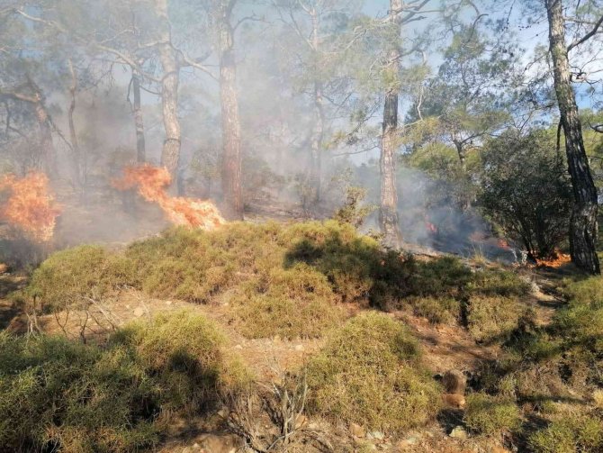 Fethiye’de Orman Yangınının Yayılmasına Jandarma Engel Oldu