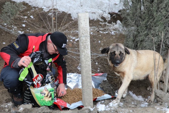 Sokak Hayvanları İçin El Birliği