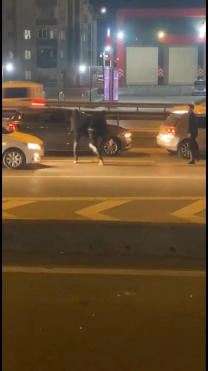 Maltepe’de Yol Verme Tartışmasında D-100 Karayolu Ringe Dönüştü: Tekmeler Yumruklar Havada Uçuştu