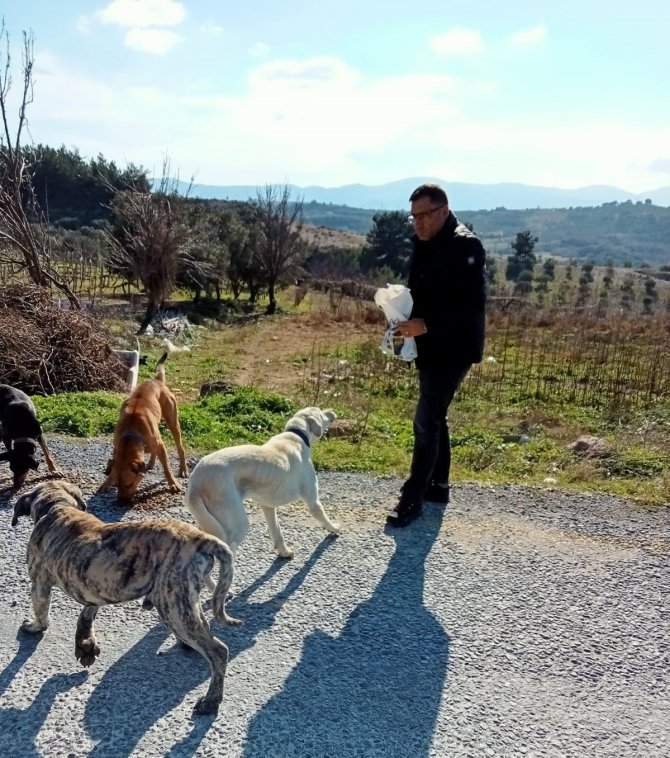 Mhp Kuşadası İ̇lçe Başkanı İ̇nan, Hafta Sonunu Hayvanlara Ayırdı