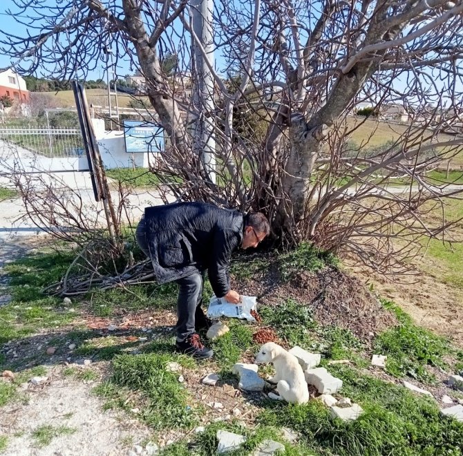 Mhp Kuşadası İ̇lçe Başkanı İ̇nan, Hafta Sonunu Hayvanlara Ayırdı