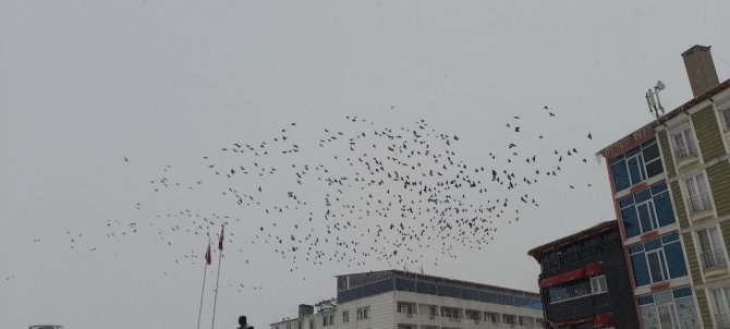 Malazgirt’te Kar Yağışı