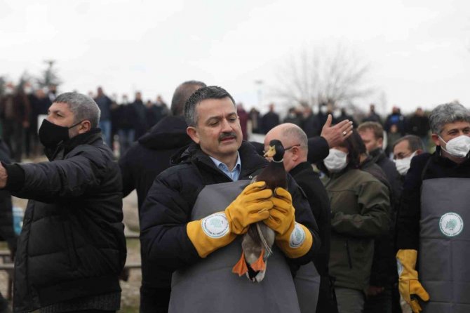 Bakan Pakdemirli Göle Ördek Saldı