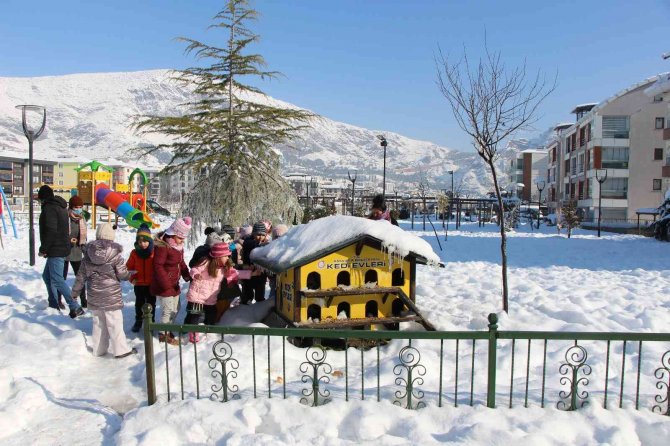 Amasya’da Minik Öğrenciler Kuşlar Ve Sokak Hayvanları İçin Yem İle Mama Dağıttı