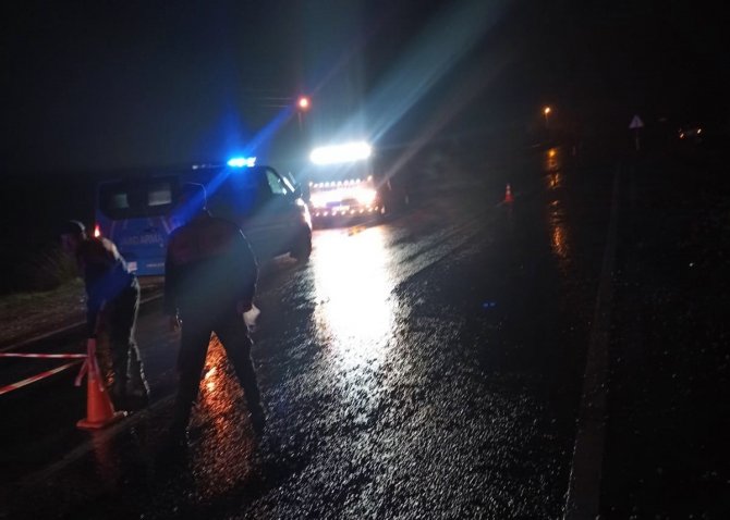 Didim’de Trafik Kazası: 1 Ölü