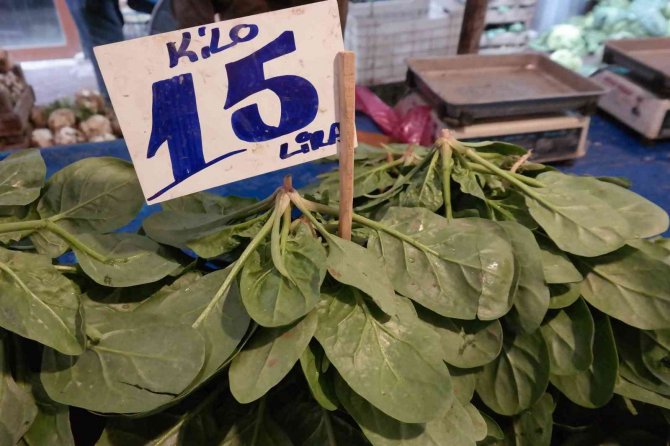 Olumsuz Hava Şartları Ispanak Fiyatlarını İkiye Katladı