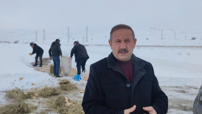Aşkale’de Sokak Ve Yaban Hayvanları Beslendi