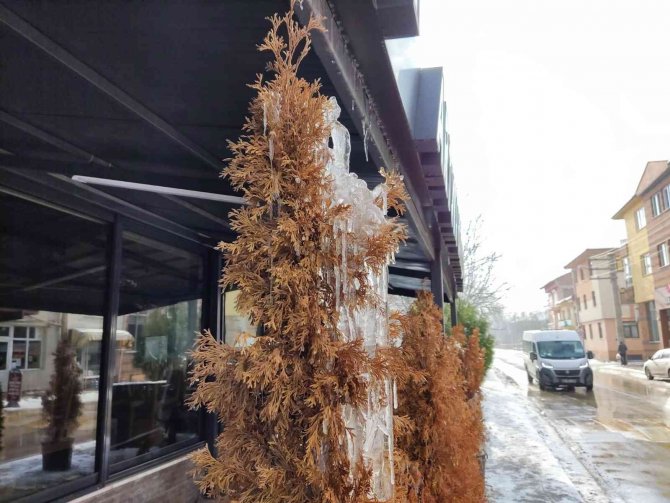 Ağaç Dallarında Oluşan Buz Sarkıtları Dikkat Çekiyor