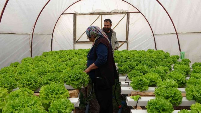 İ̇stanbul’un Kalabalığından Kaçtı Memleketinde Topraksız Tarıma Başladı