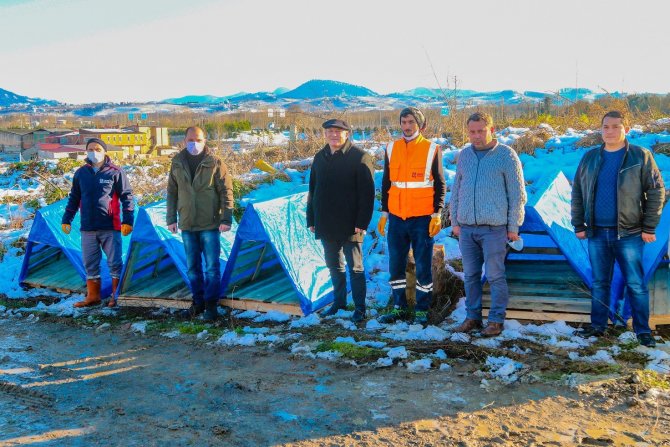 Ünye’de Sokak Hayvanlarına Sıcak Yuva