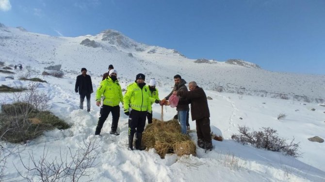 Dkmp Ve Polis Ekipleri, Yaban Hayvanlarını Unutmadı