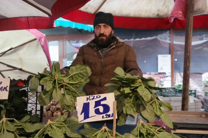 Olumsuz Hava Şartları Ispanak Fiyatlarını İkiye Katladı