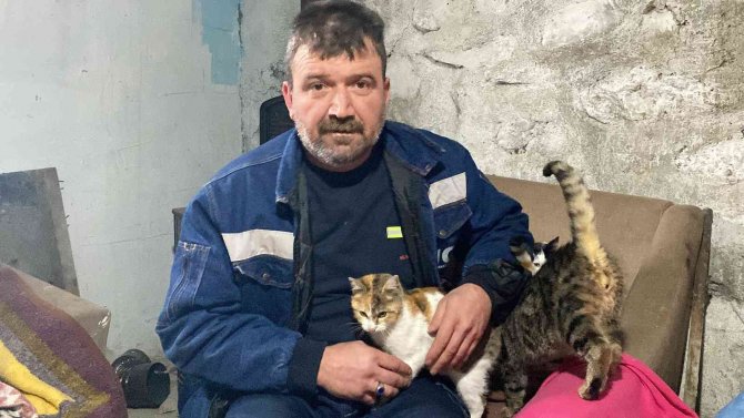 Kış Ayında Kapısını Kedilere Açtı