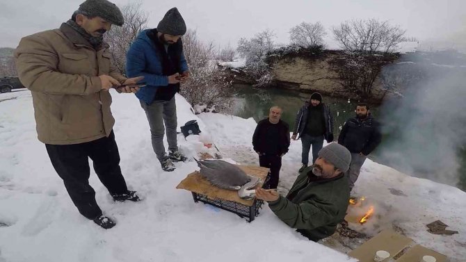 Balıkçıl Kuşun İmdadına Ekipler Yetişti