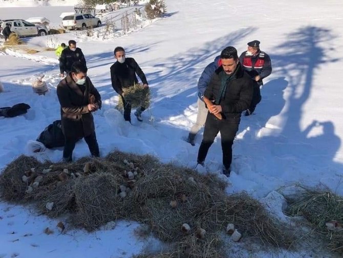Kastamonu’da Yaban Hayvanları İçin Doğaya Yem Bırakıldı