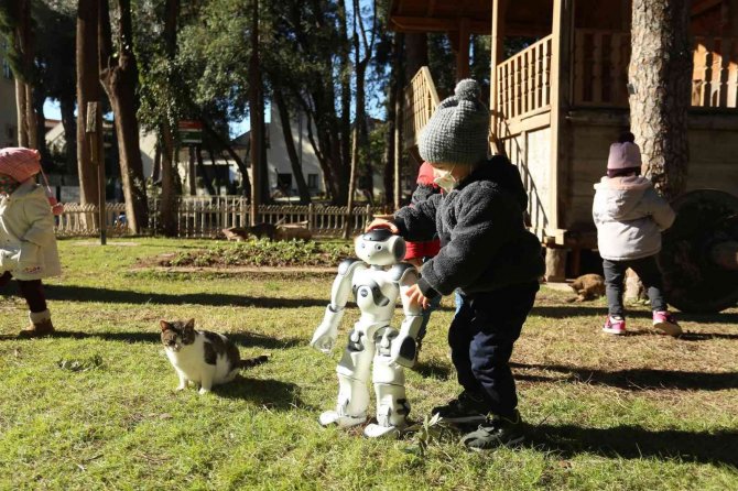 Hayvansever Robot Nao, Sokak Hayvanlarını Elleriyle Besliyor