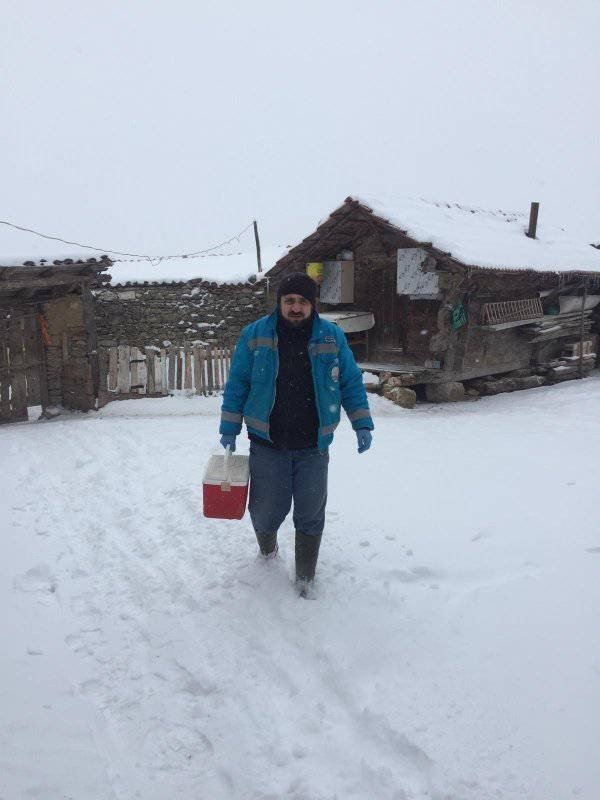 Kütahya’da Küçükbaş Hayvanlara Çiçek Aşısı