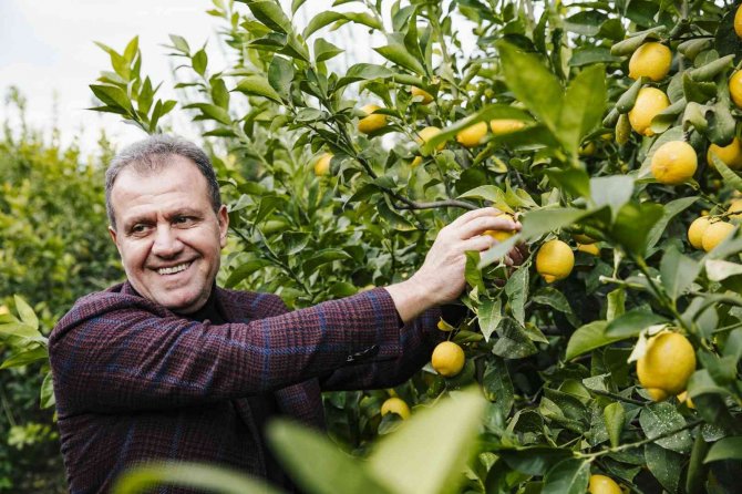 Başkan Seçer’den Belediye Başkanlarına ‘Limon’ Çağrısı