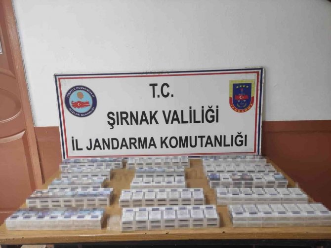Şırnak’ta Çok Sayıda Uzun Namlulu Silah Ele Geçirildi: 87 Gözaltı