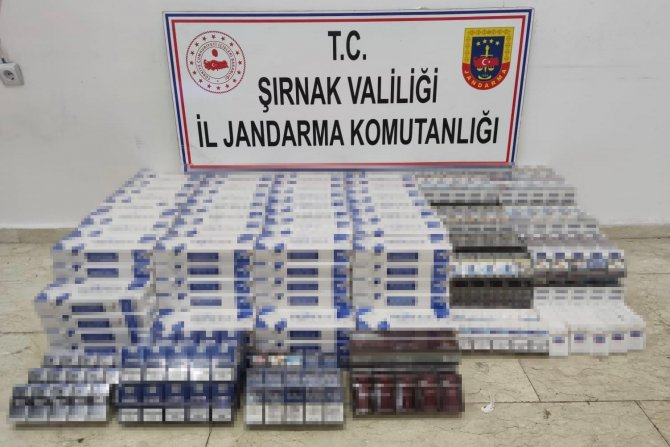 Şırnak’ta Çok Sayıda Uzun Namlulu Silah Ele Geçirildi: 87 Gözaltı