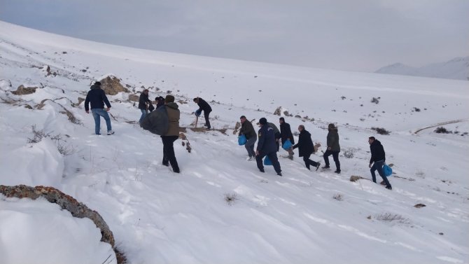 Sivas’ta Yaban Hayatı Unutulmadı