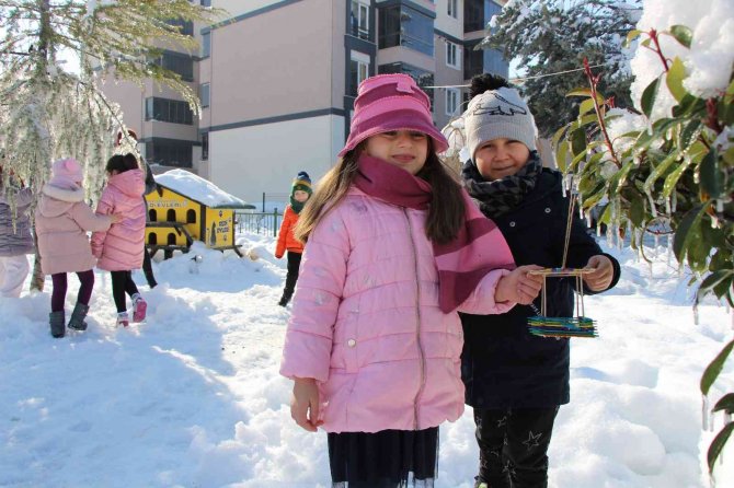 Amasya’da Minik Öğrenciler Kuşlar Ve Sokak Hayvanları İçin Yem İle Mama Dağıttı