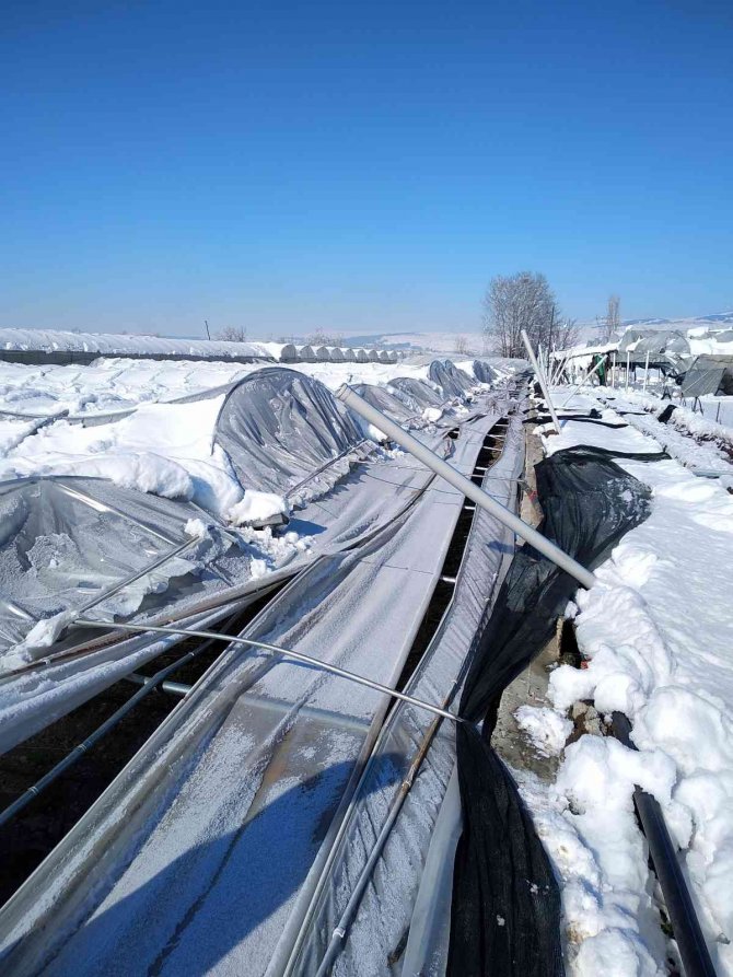 Tarsi̇m: “Üreticilere 92 Milyon Tl Hasar Ödemesi Yapılacak”