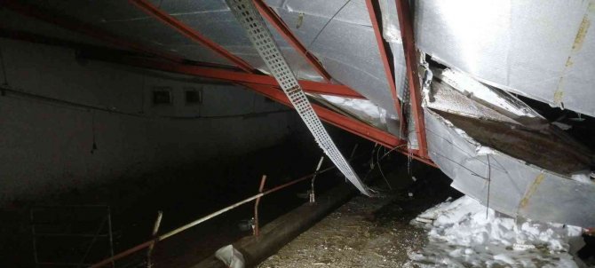 Tarsi̇m: “Üreticilere 92 Milyon Tl Hasar Ödemesi Yapılacak”