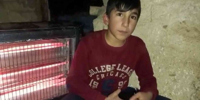 Doğum Yapan Anne Köpek Ve Yavruları İçin Elektrikli Soba Kurdu