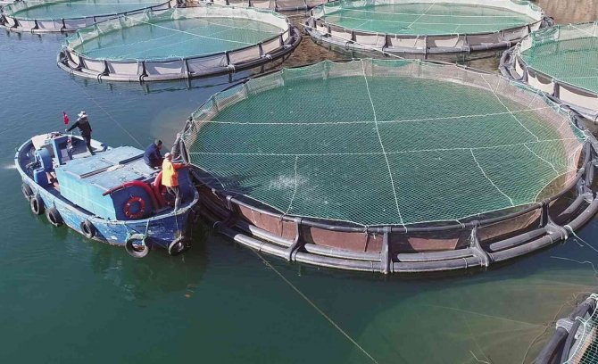 Muğla’nın Aralık İhracatı Yüzde 7,7 Arttı