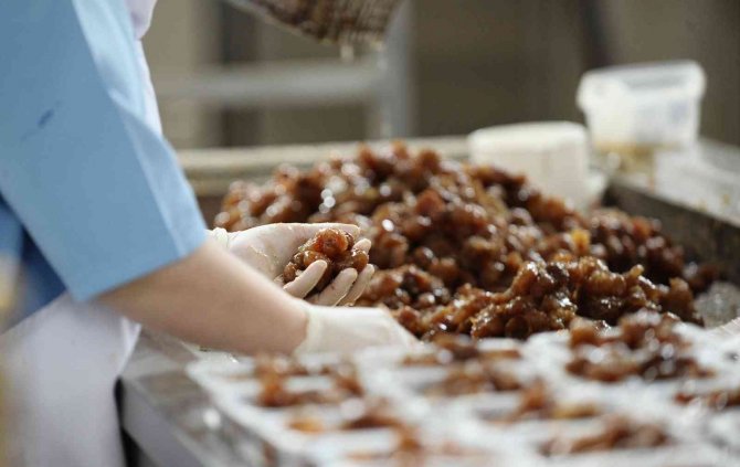 Kestane Şekeri İhracatı Artıyor