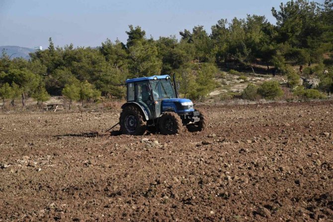 Yunusemre Lavanta Diyarı Oluyor