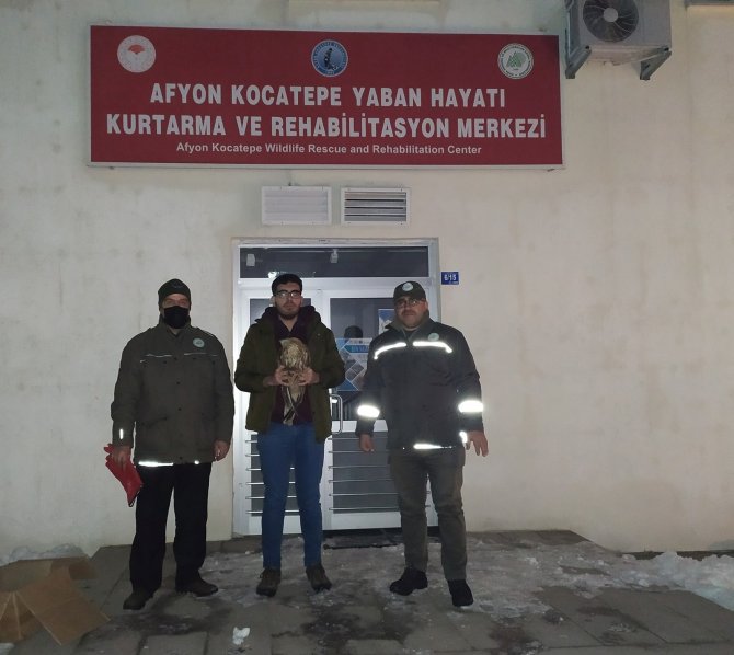 Yaralı Ve Bitkin Halde Bulunan Kızıl Şahinler Tedavi Altına Alındı