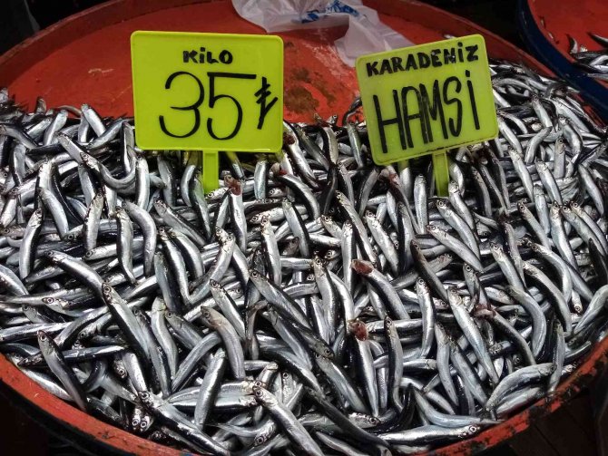 Bandırma Balıkhaline Hamsi Ve Kolyoz Akını