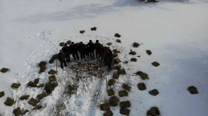 Yaban Hayvanları İçin Doğaya 1 Ton Yem Bırakıldı