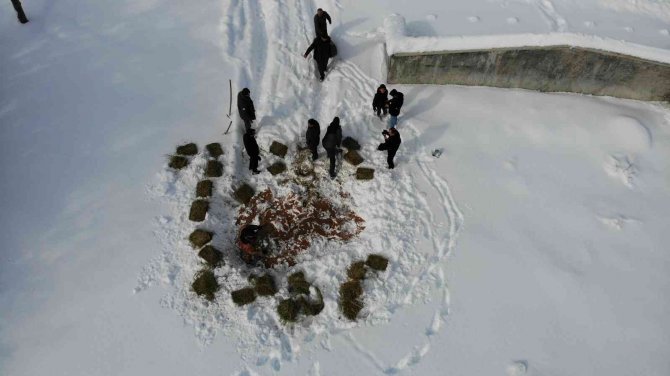 Yaban Hayvanları İçin Doğaya 1 Ton Yem Bırakıldı