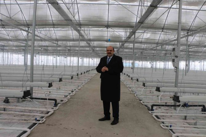 Eksi 30 Derecede Hindistan Cevizi Kabuğunda 25 Ton Domates Üretecekler