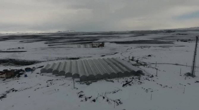 Eksi 30 Derecede Hindistan Cevizi Kabuğunda 25 Ton Domates Üretecekler