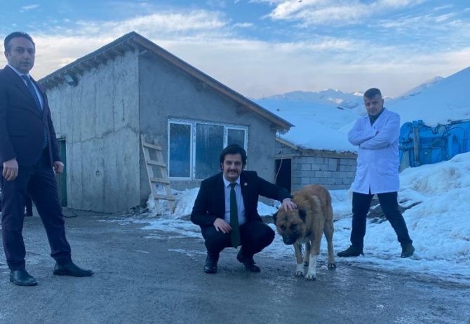 Vali Yardımcısı Kasımoğlu, Şiddet Gören İki Köpeği Sahiplendi